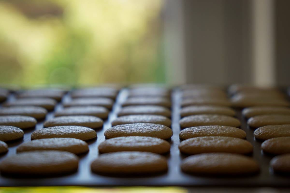 Vue rapprochée de plusieurs rangées de biscuits ronds refroidissant sur une plaque de cuisson, avec un arrière-plan légèrement flou suggérant une fenêtre et de la verdure à l'extérieur.